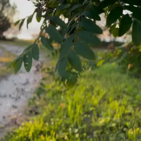 Ranniku House Hébergement de vacances *