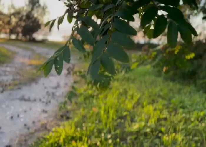 Ranniku House Tatil Evi *