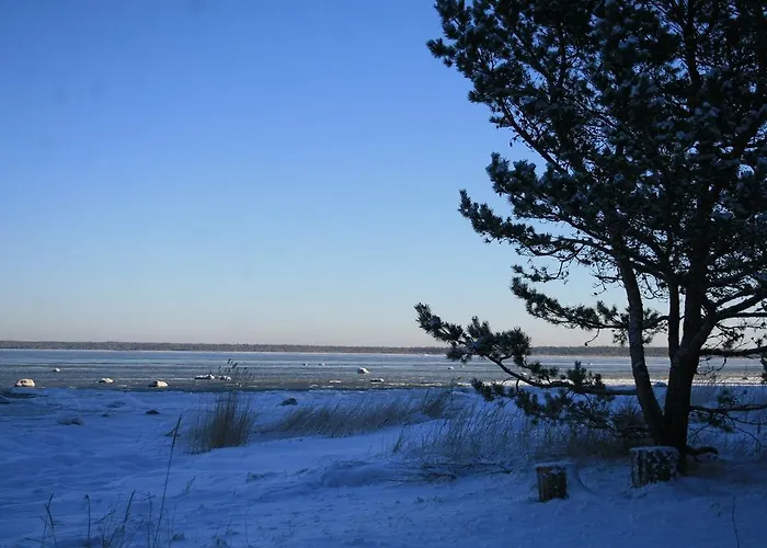 Tatil Evi Ranniku House *